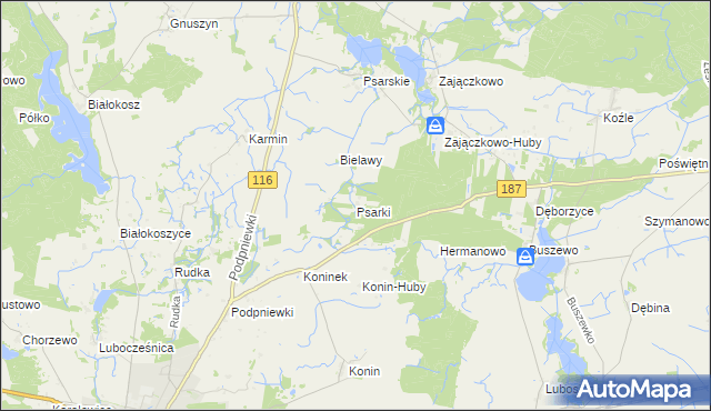 mapa Psarki gmina Pniewy, Psarki gmina Pniewy na mapie Targeo