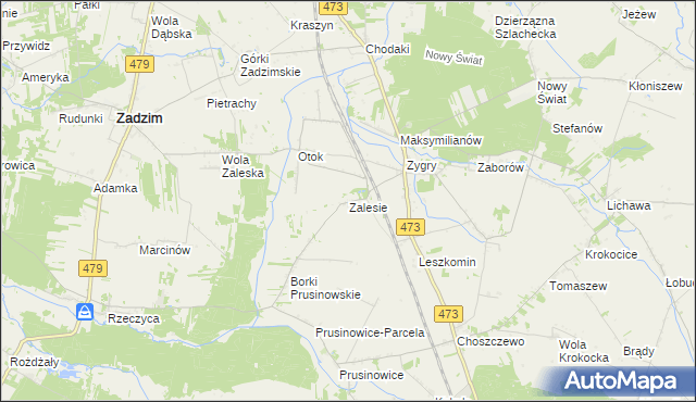 mapa Zalesie gmina Zadzim, Zalesie gmina Zadzim na mapie Targeo