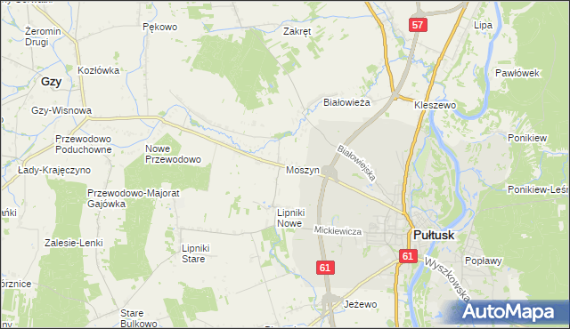 mapa Moszyn, Moszyn na mapie Targeo