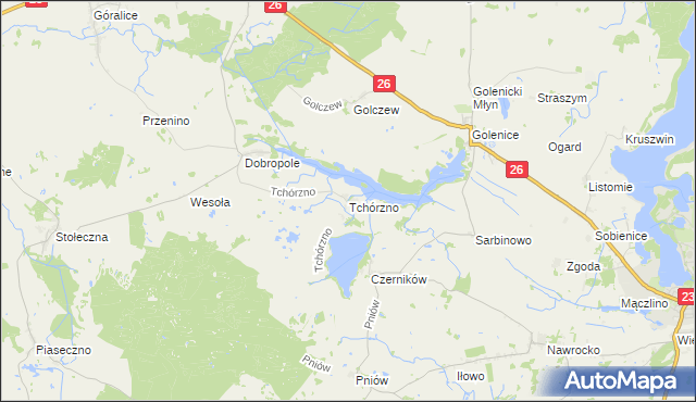 mapa Tchórzno, Tchórzno na mapie Targeo