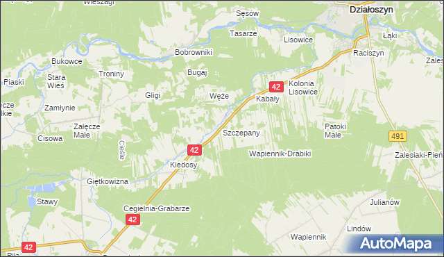 mapa Szczepany gmina Działoszyn, Szczepany gmina Działoszyn na mapie Targeo