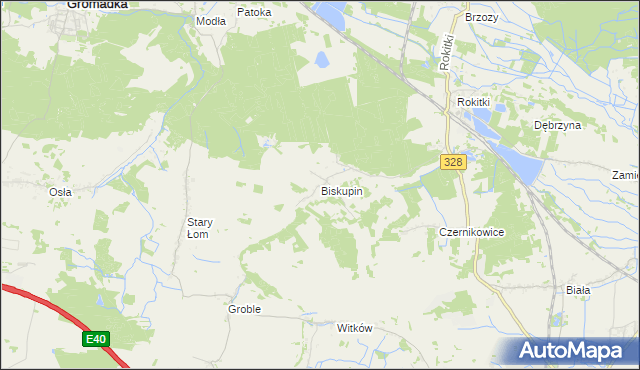 mapa Biskupin gmina Chojnów, Biskupin gmina Chojnów na mapie Targeo