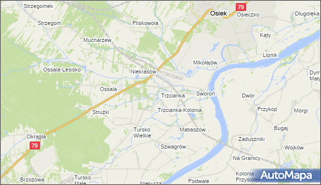 mapa Trzcianka gmina Osiek, Trzcianka gmina Osiek na mapie Targeo
