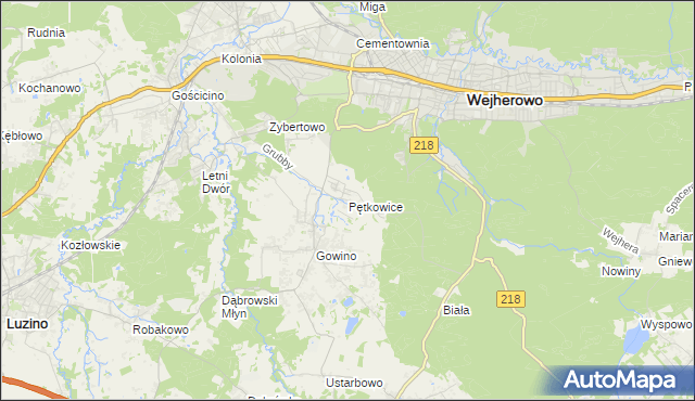 mapa Pętkowice gmina Wejherowo, Pętkowice gmina Wejherowo na mapie Targeo