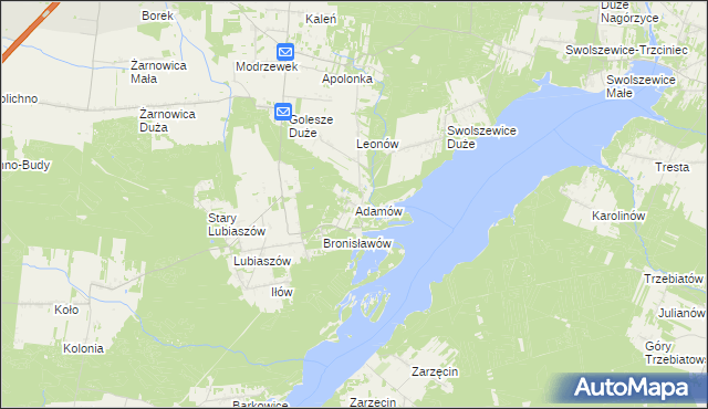 mapa Adamów gmina Wolbórz, Adamów gmina Wolbórz na mapie Targeo