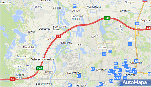 mapa Biała gmina Tarnów, Biała gmina Tarnów na mapie Targeo