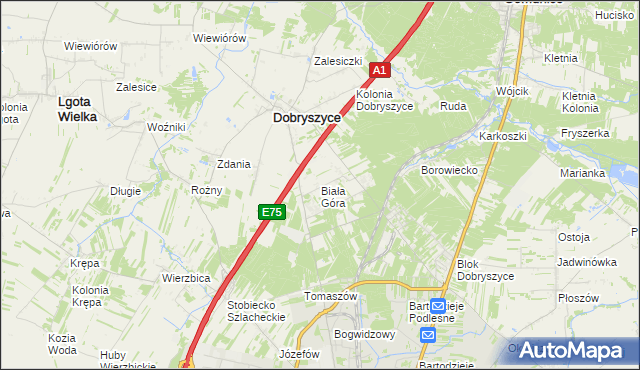 mapa Biała Góra gmina Dobryszyce, Biała Góra gmina Dobryszyce na mapie Targeo