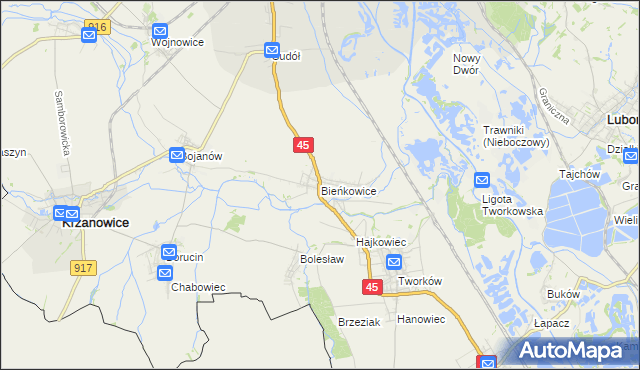 mapa Bieńkowice gmina Krzyżanowice, Bieńkowice gmina Krzyżanowice na mapie Targeo