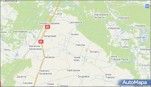 mapa Halinów gmina Gostynin, Halinów gmina Gostynin na mapie Targeo