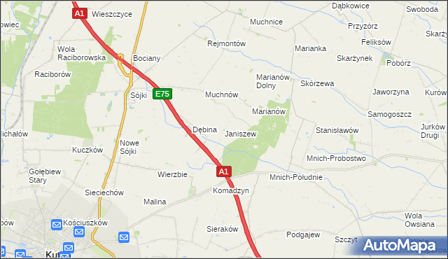 mapa Janiszew gmina Strzelce, Janiszew gmina Strzelce na mapie Targeo