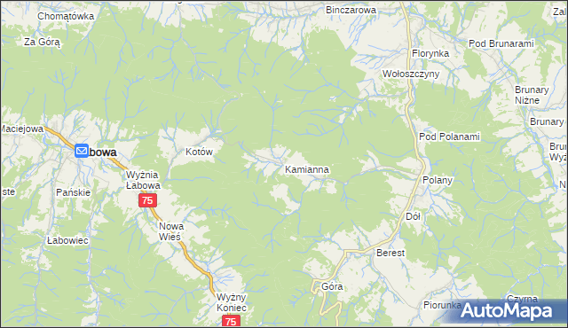 mapa Kamianna, Kamianna na mapie Targeo