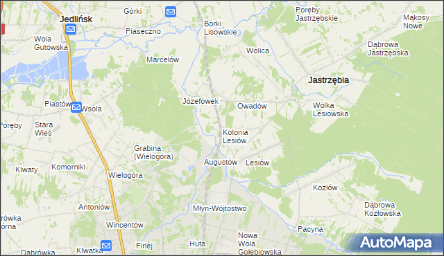 mapa Kolonia Lesiów, Kolonia Lesiów na mapie Targeo