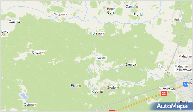 mapa Kwieki, Kwieki na mapie Targeo