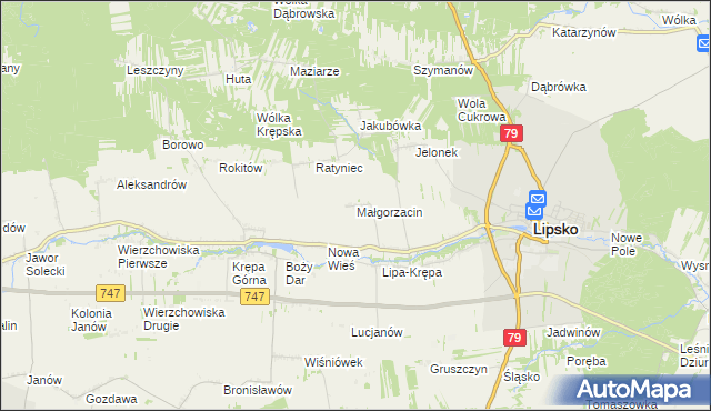mapa Małgorzacin gmina Lipsko, Małgorzacin gmina Lipsko na mapie Targeo