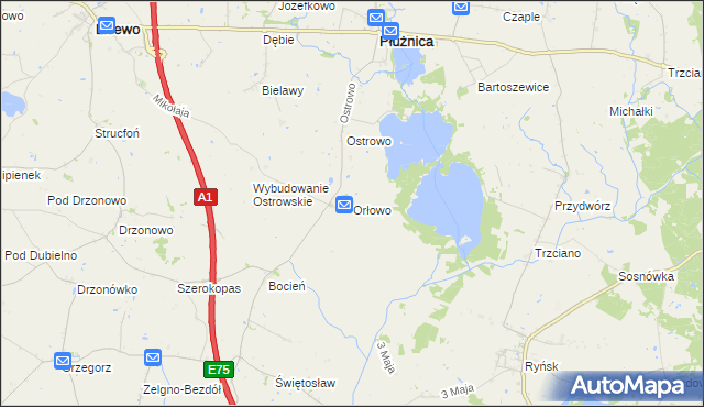 mapa Orłowo gmina Płużnica, Orłowo gmina Płużnica na mapie Targeo