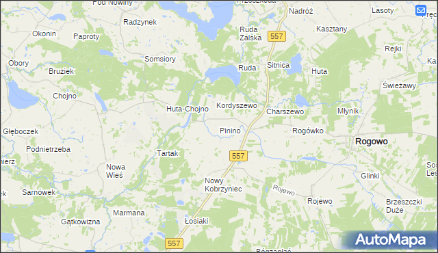 mapa Pinino gmina Rogowo, Pinino gmina Rogowo na mapie Targeo