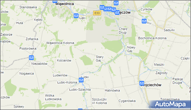 mapa Stary Gaj gmina Wojciechów, Stary Gaj gmina Wojciechów na mapie Targeo