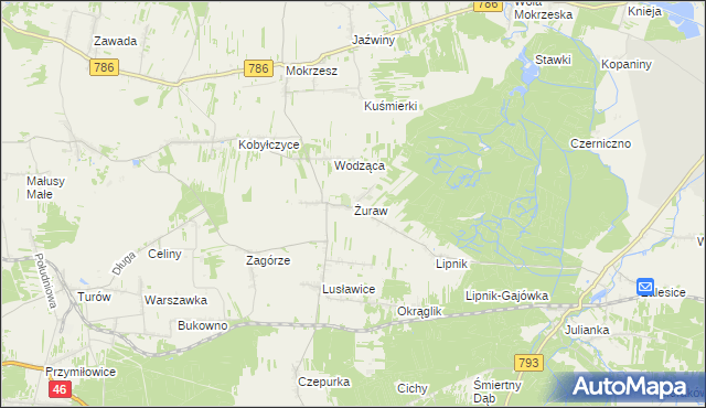mapa Żuraw gmina Janów, Żuraw gmina Janów na mapie Targeo