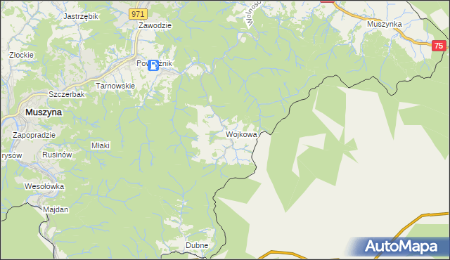 mapa Wojkowa, Wojkowa na mapie Targeo