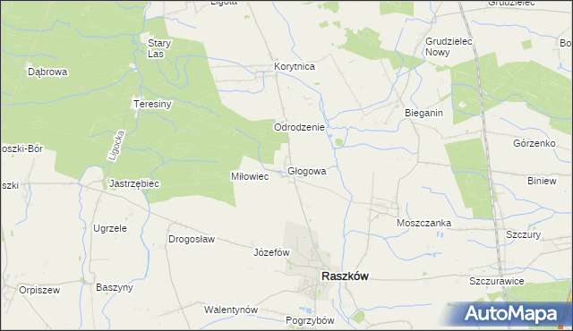 mapa Głogowa gmina Raszków, Głogowa gmina Raszków na mapie Targeo