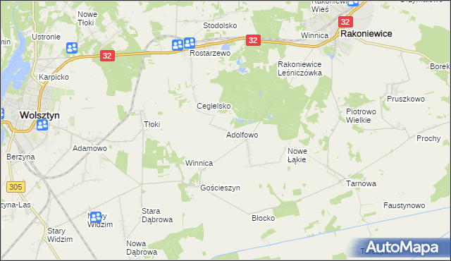 mapa Adolfowo gmina Rakoniewice, Adolfowo gmina Rakoniewice na mapie Targeo