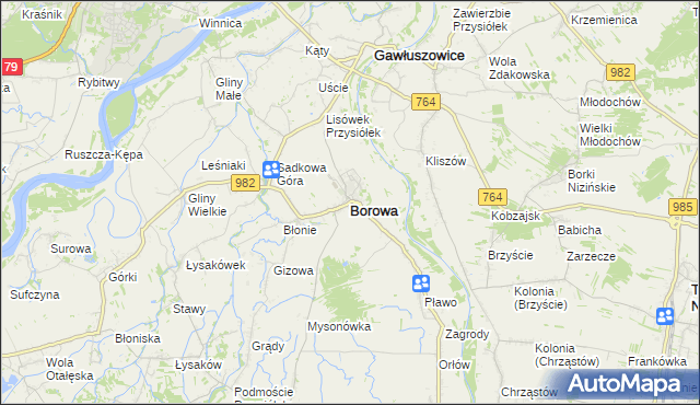 mapa Borowa powiat mielecki, Borowa powiat mielecki na mapie Targeo
