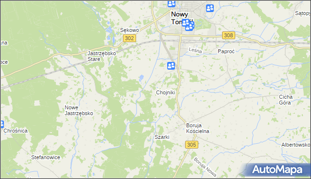 mapa Chojniki gmina Nowy Tomyśl, Chojniki gmina Nowy Tomyśl na mapie Targeo