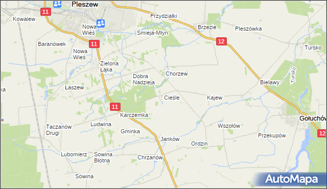mapa Cieśle gmina Gołuchów, Cieśle gmina Gołuchów na mapie Targeo