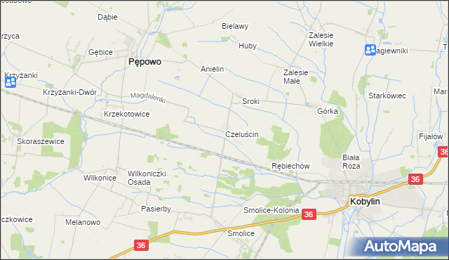 mapa Czeluścin gmina Pępowo, Czeluścin gmina Pępowo na mapie Targeo