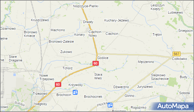 mapa Goślice, Goślice na mapie Targeo