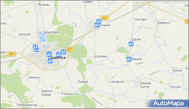 mapa Kozłowo gmina Opalenica, Kozłowo gmina Opalenica na mapie Targeo