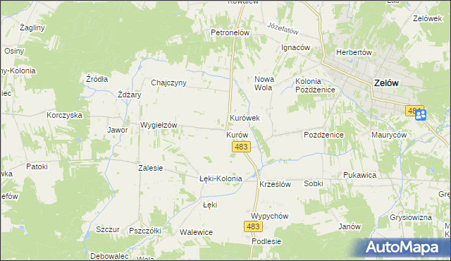 mapa Kurów gmina Zelów, Kurów gmina Zelów na mapie Targeo