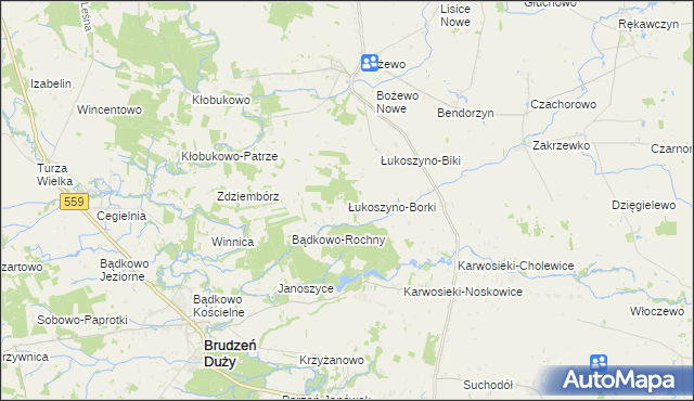 mapa Łukoszyno-Borki, Łukoszyno-Borki na mapie Targeo