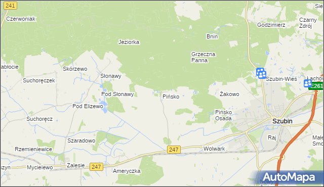 mapa Pińsko, Pińsko na mapie Targeo