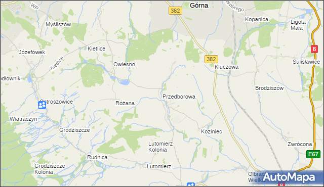 mapa Przedborowa, Przedborowa na mapie Targeo