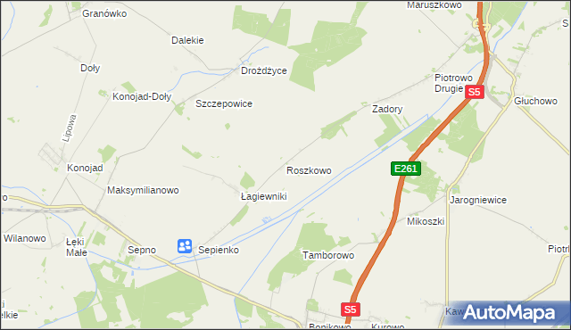 mapa Roszkowo gmina Czempiń, Roszkowo gmina Czempiń na mapie Targeo