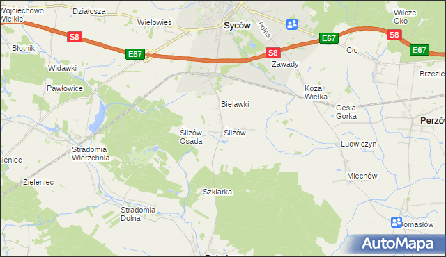 mapa Ślizów, Ślizów na mapie Targeo