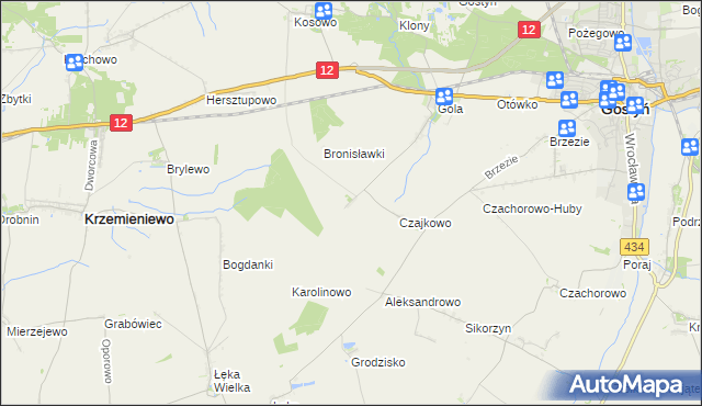 mapa Witoldowo gmina Gostyń, Witoldowo gmina Gostyń na mapie Targeo