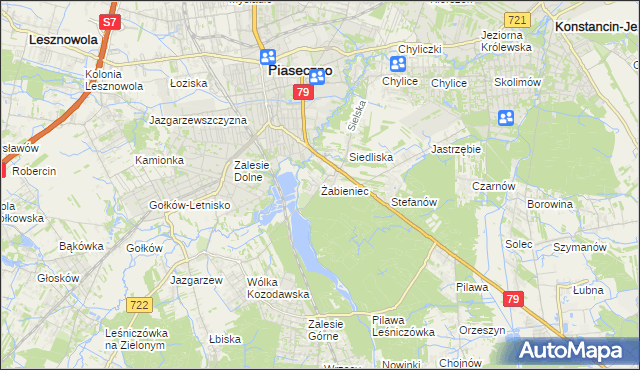 mapa Żabieniec gmina Piaseczno, Żabieniec gmina Piaseczno na mapie Targeo
