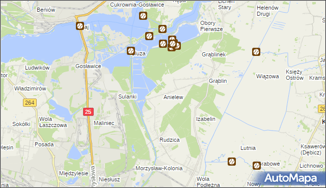 mapa Anielew gmina Kramsk, Anielew gmina Kramsk na mapie Targeo