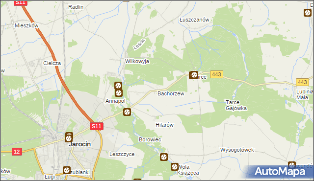 mapa Bachorzew, Bachorzew na mapie Targeo