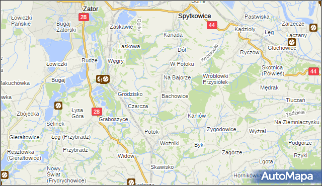 mapa Bachowice, Bachowice na mapie Targeo