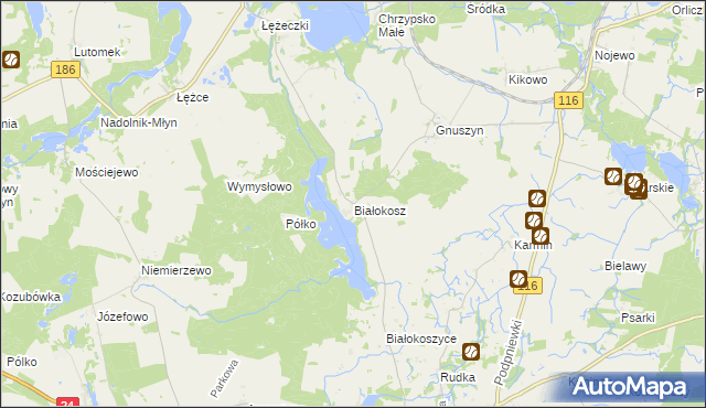 mapa Białokosz, Białokosz na mapie Targeo