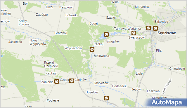 mapa Białowieża gmina Sędziszów, Białowieża gmina Sędziszów na mapie Targeo