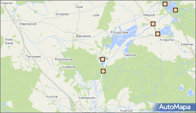 mapa Bielice gmina Świerczów, Bielice gmina Świerczów na mapie Targeo