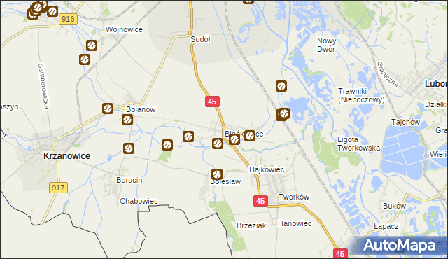 mapa Bieńkowice gmina Krzyżanowice, Bieńkowice gmina Krzyżanowice na mapie Targeo