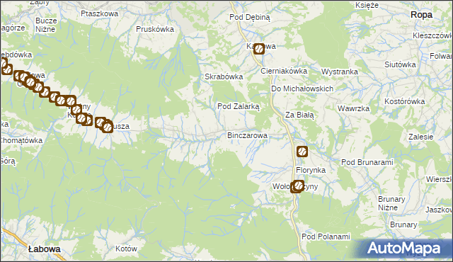 mapa Binczarowa, Binczarowa na mapie Targeo