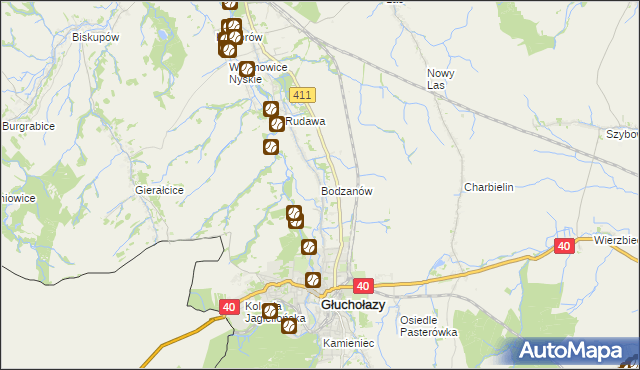 mapa Bodzanów gmina Głuchołazy, Bodzanów gmina Głuchołazy na mapie Targeo