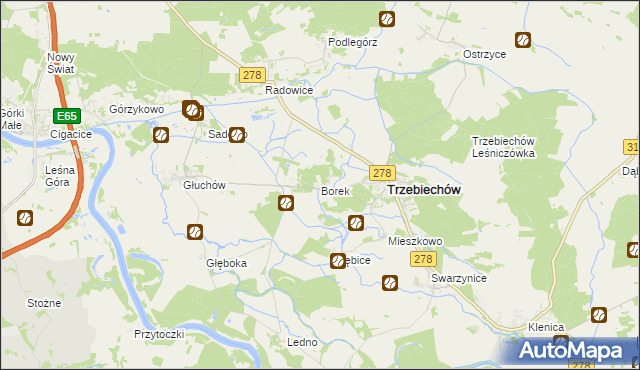 mapa Borek gmina Trzebiechów, Borek gmina Trzebiechów na mapie Targeo