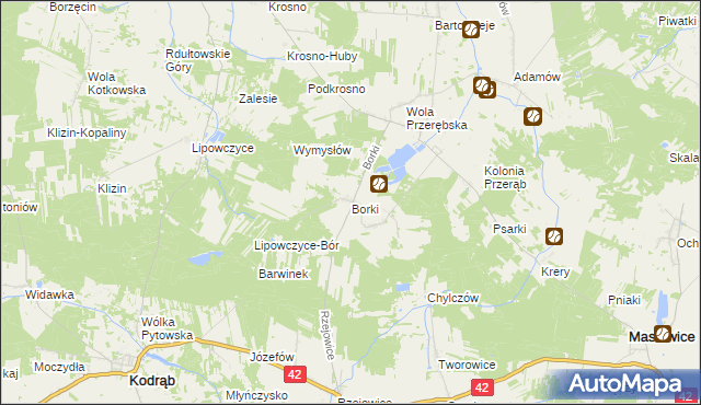 mapa Borki gmina Masłowice, Borki gmina Masłowice na mapie Targeo